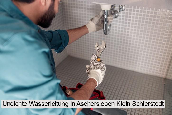 Undichte Wasserleitung in Aschersleben Klein Schierstedt